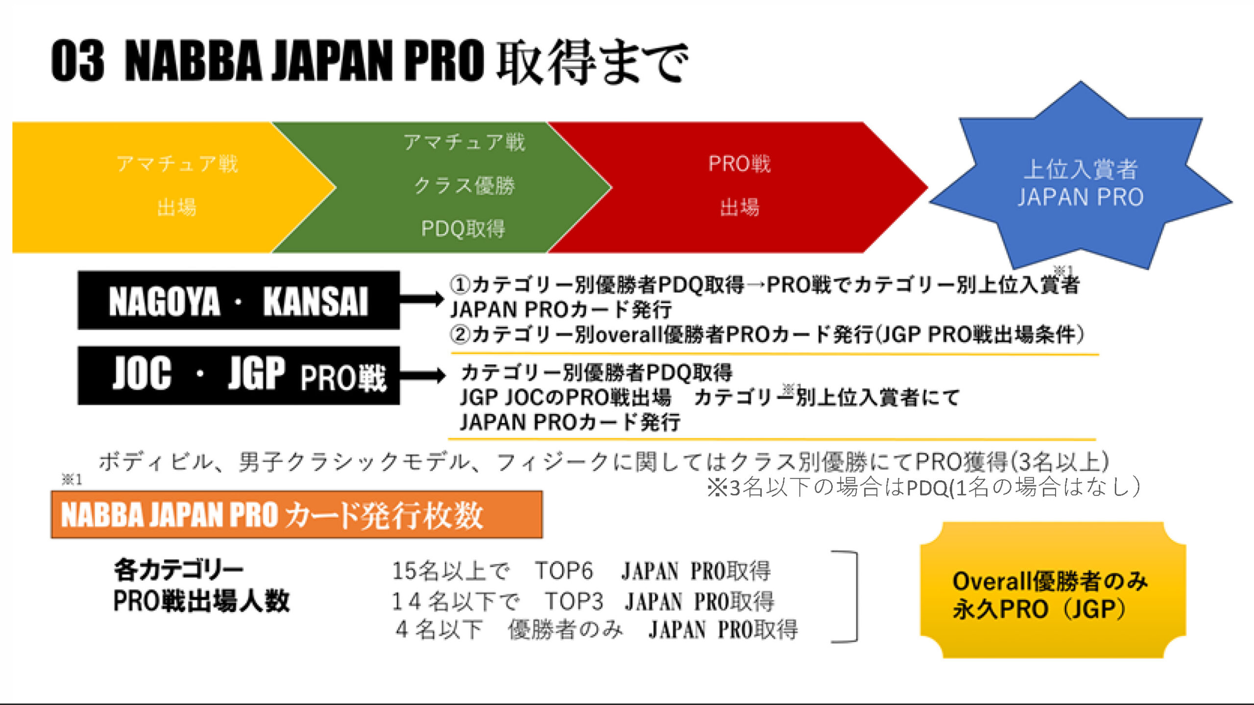 NABBA JAPAN PRO 取得まで NABBA JAPAN PRO 取得まで